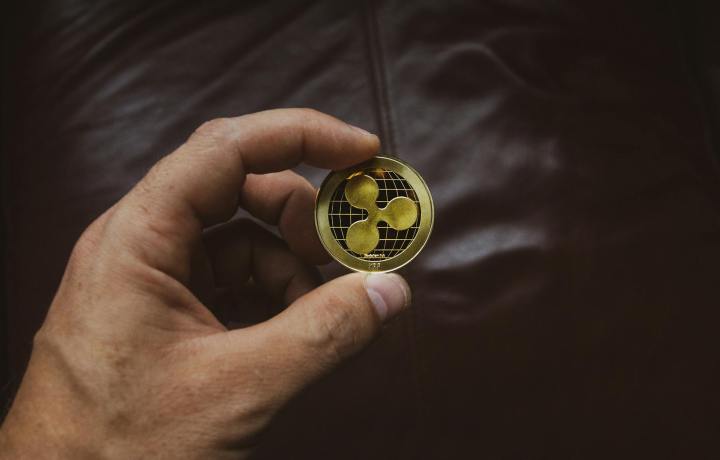 A Beginner’s Guide to Cryptocurrency: Everything You Need to Know Before Investing